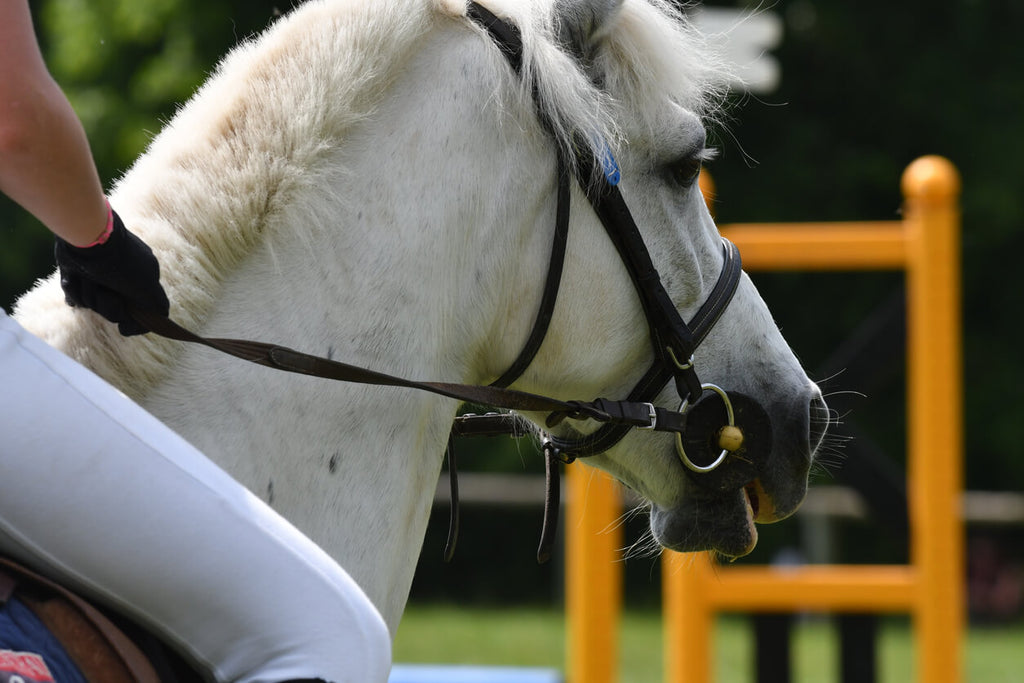 FUN GAMES FOR YOUR KIDS AND HORSES THIS SUMMER