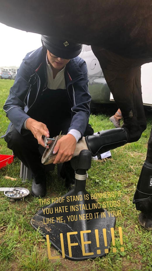 Applying Horseshoe Studs the Easy Way