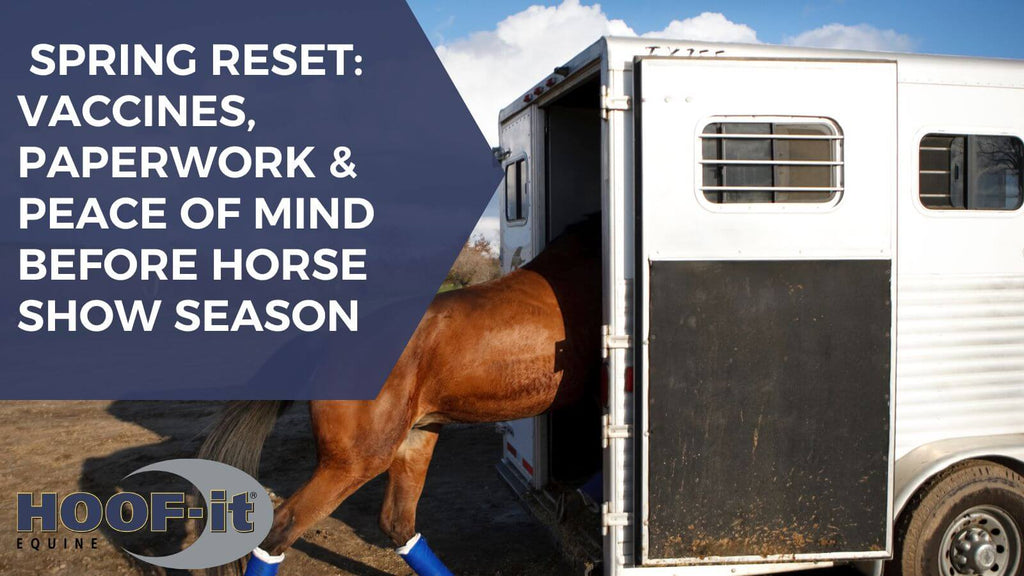 Spring Reset: Vaccines, Paperwork & Peace of Mind Before Horse Show Season