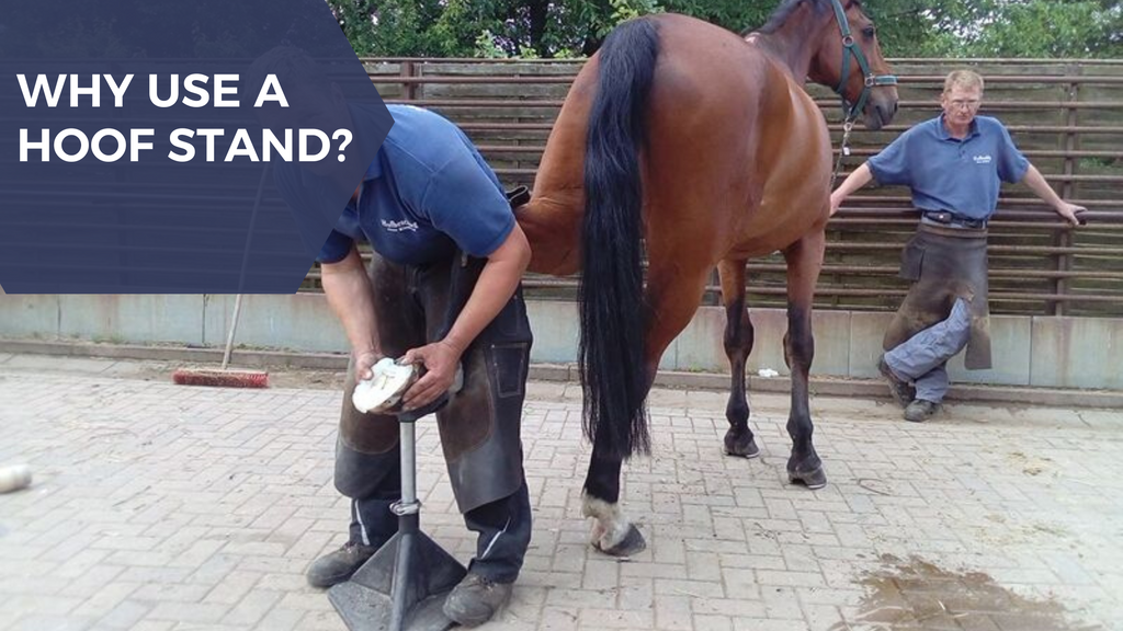 Why use a hoof stand?