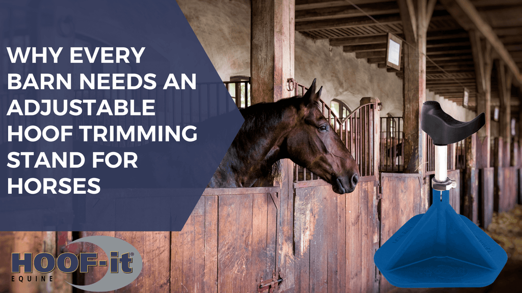 Why Every Barn Needs an Adjustable Hoof Trimming Stand for Horses