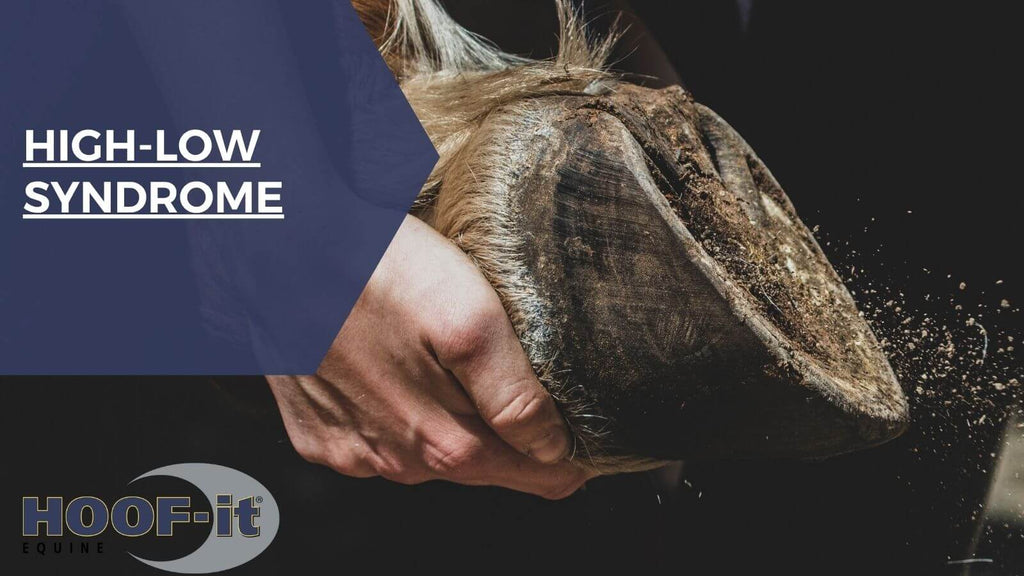 High-Low Syndrome: The #1 Hoof Concern That Deserves Your Attention