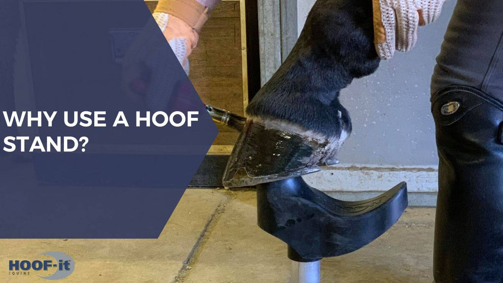 The Importance of Utilizing a Hoof Stand in Equine Hoof Care