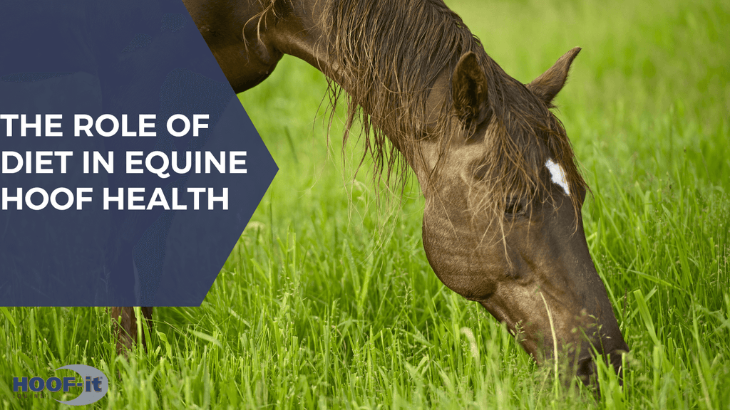 The Role of Diet in Equine Hoof Health