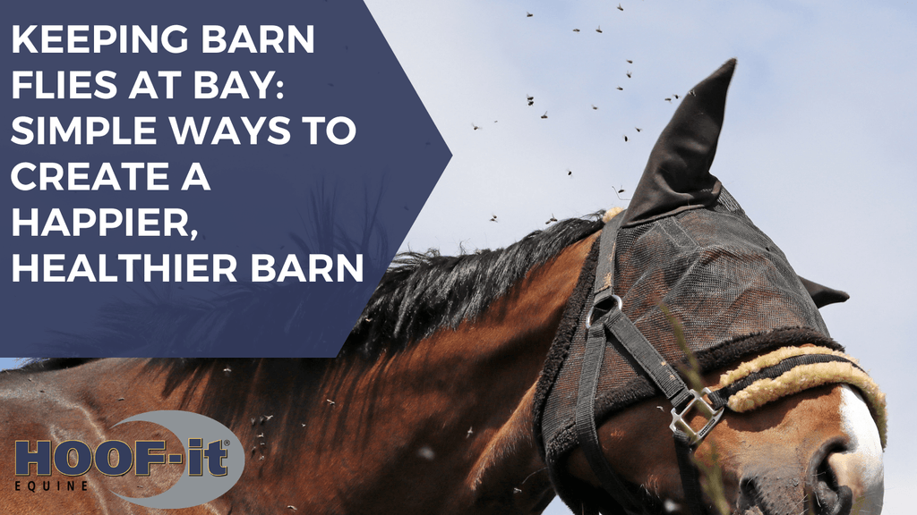Keeping Barn Flies at Bay: Simple Ways to Create a Happier, Healthier Barn