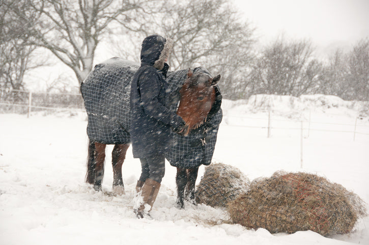 Blanketing your horse in the winter months