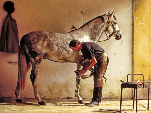 Farrier Schools