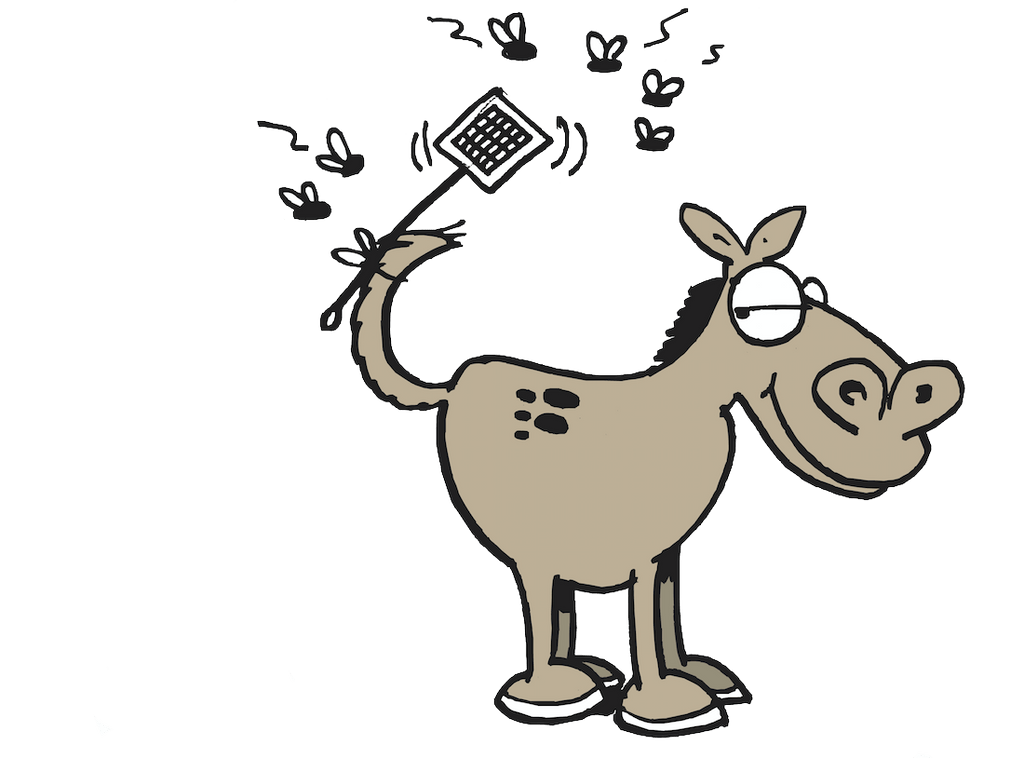 DIY: Natural Fly Spray Recipe