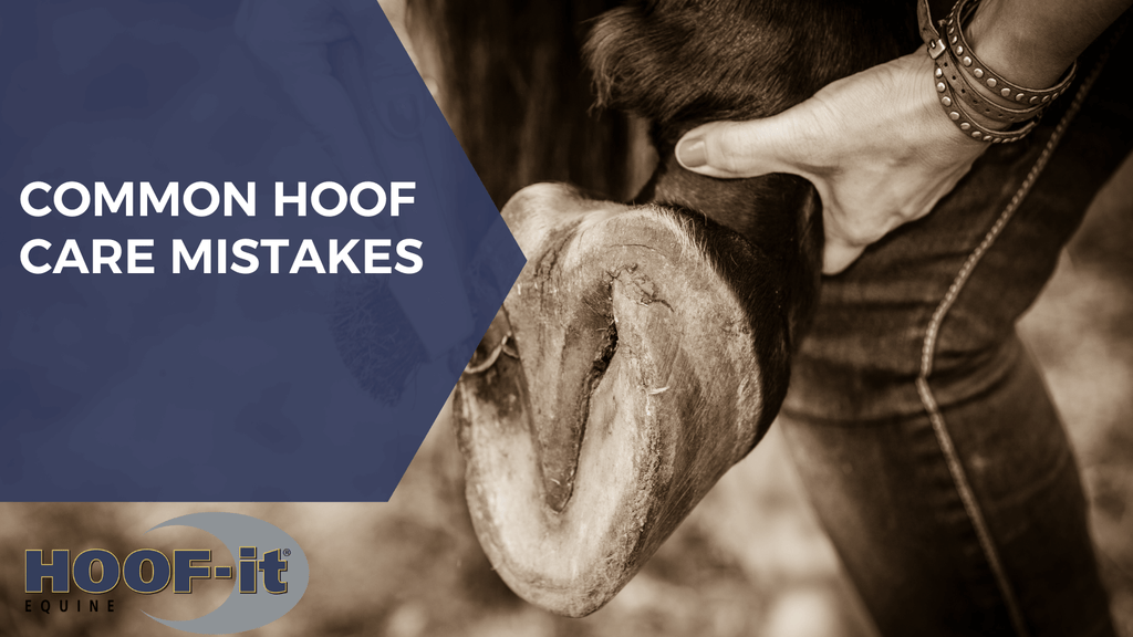 Common Hoof Care Mistakes (and How a Hoof Stand for Horses Helps Avoid Them!)
