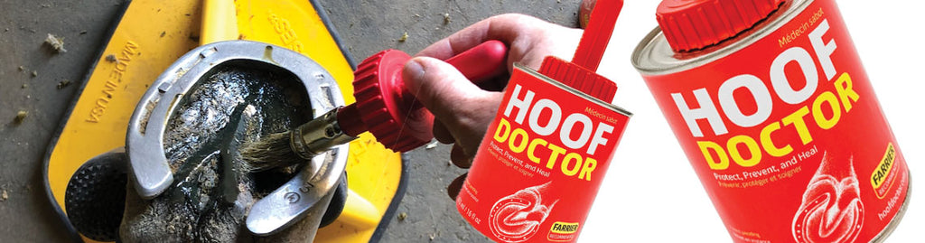 Does your horse suffer from hoof infections or ailments?