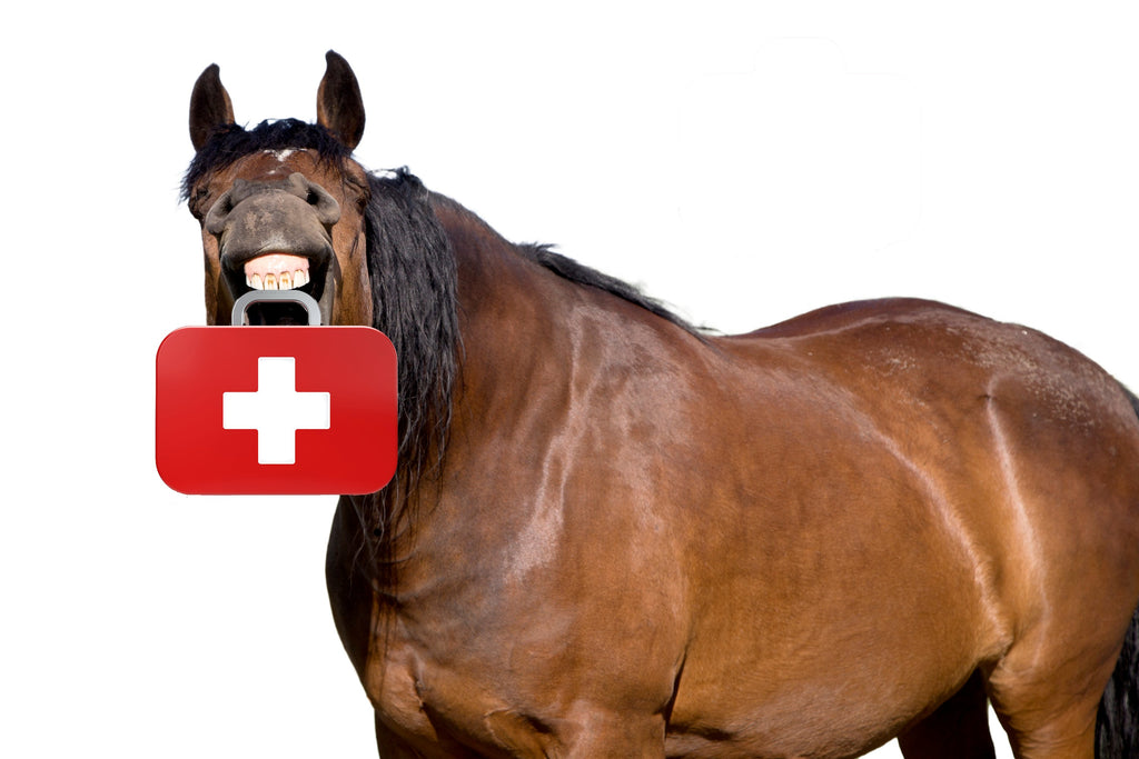 Essentials for your Equine First Aid Kit