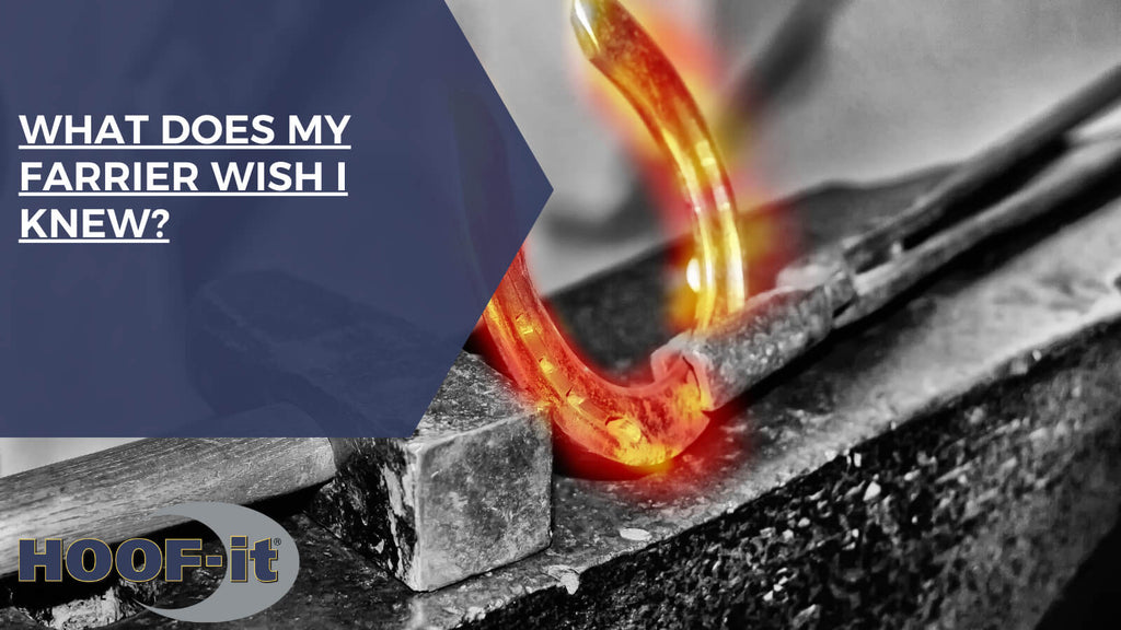 What Does My Farrier Wish I Knew?