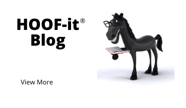 HOOF it Horse Blog