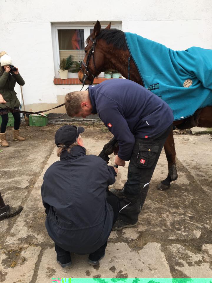 Farrier Referrals