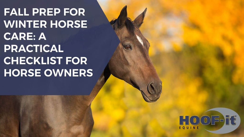Fall Prep for Winter Horse Care: A Practical Checklist for Horse Owners