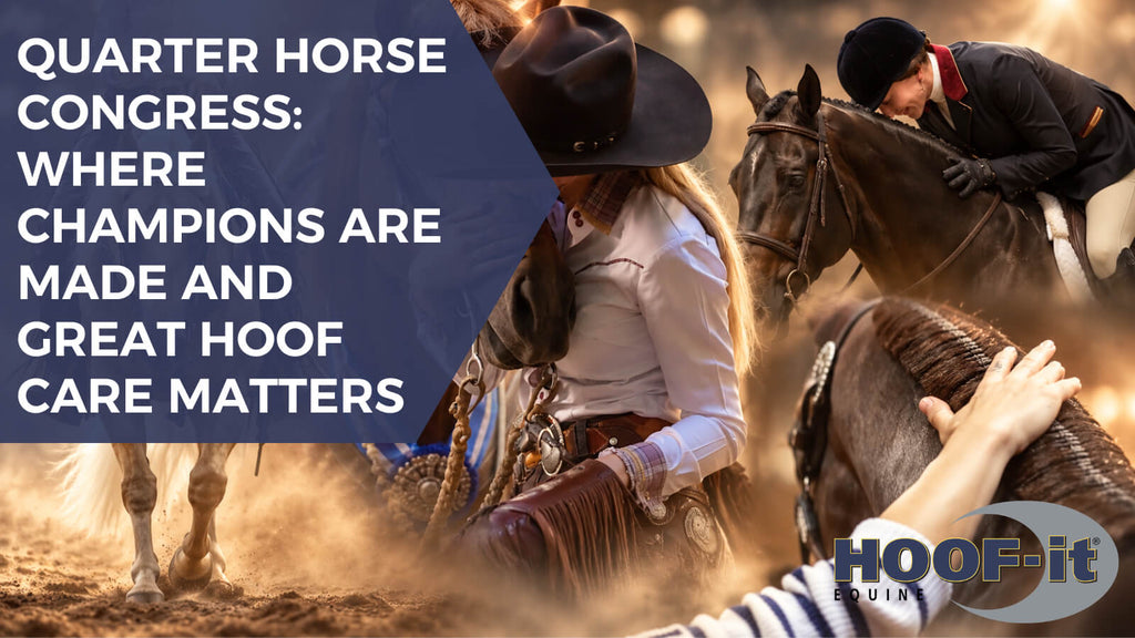 The 2026 All American Quarter Horse Congress: Where Champions Are Made and Great Hoof Care Matters