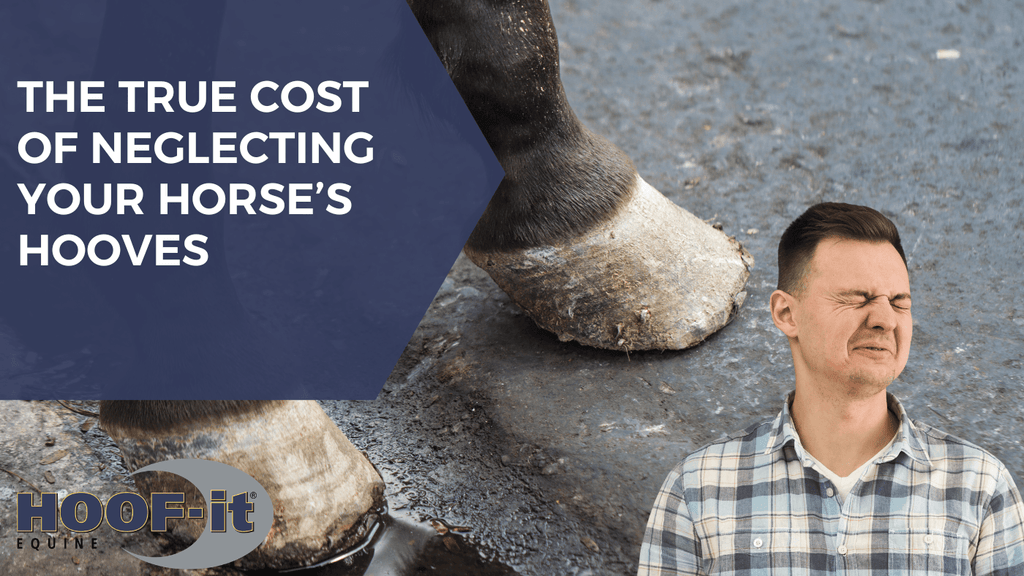 The True Cost of Neglecting Your Horse’s Hooves