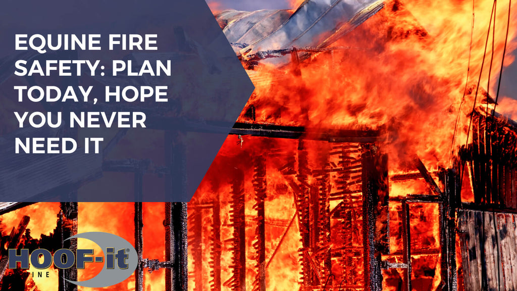 Equine Fire Safety: Plan Today, Hope You Never Need It
