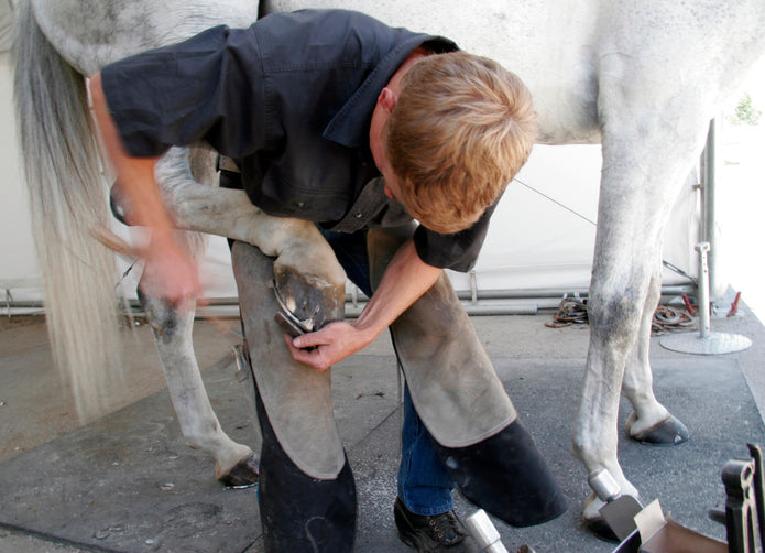 Farrier Tips to Replacing Horseshoes