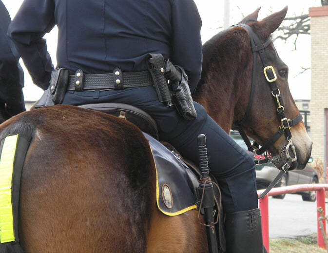 Horseshoe for Mounted Patrol Horses