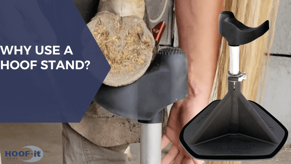 Why You Should Be Using a Hoof Stand in Your Hoof Care Business