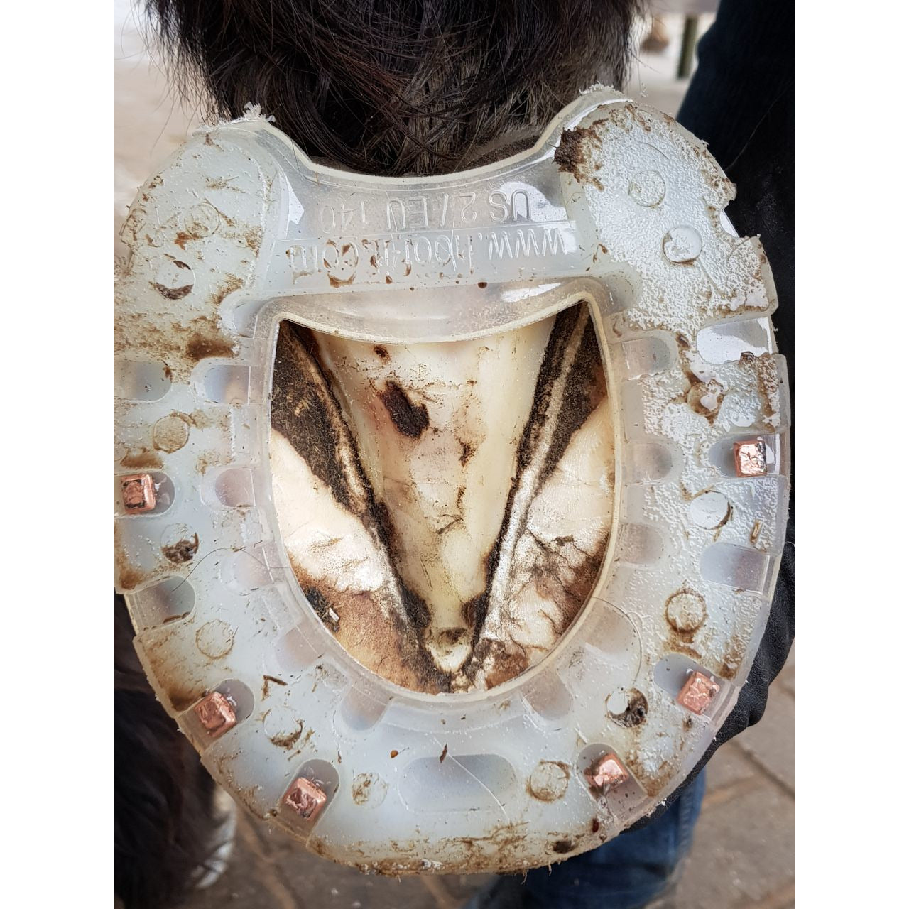 Plastic horseshoes sales