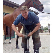 farrier hoof stand