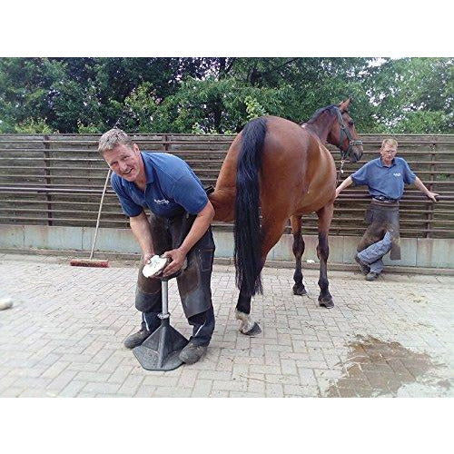 Farrier Tips to Replacing Horseshoes